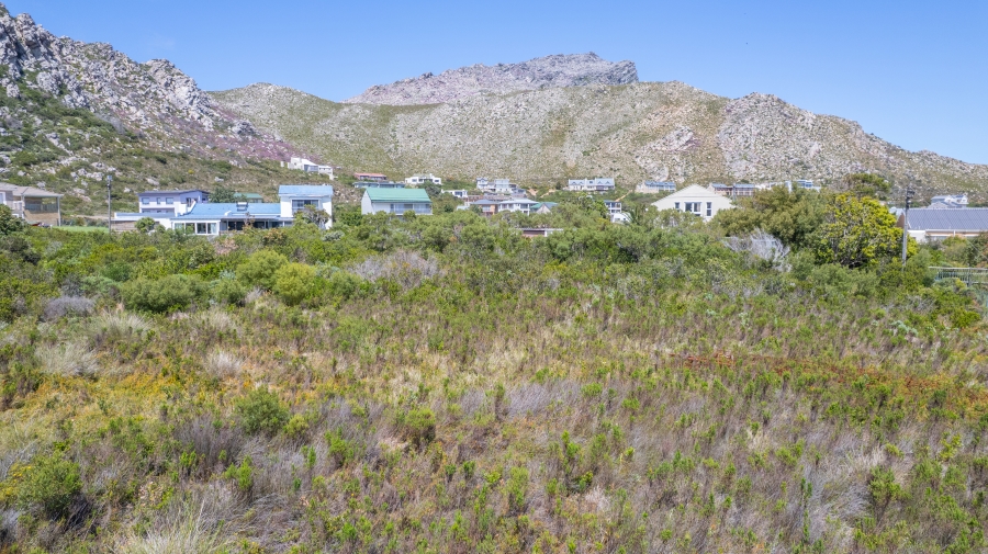 0 Bedroom Property for Sale in Pringle Bay Western Cape